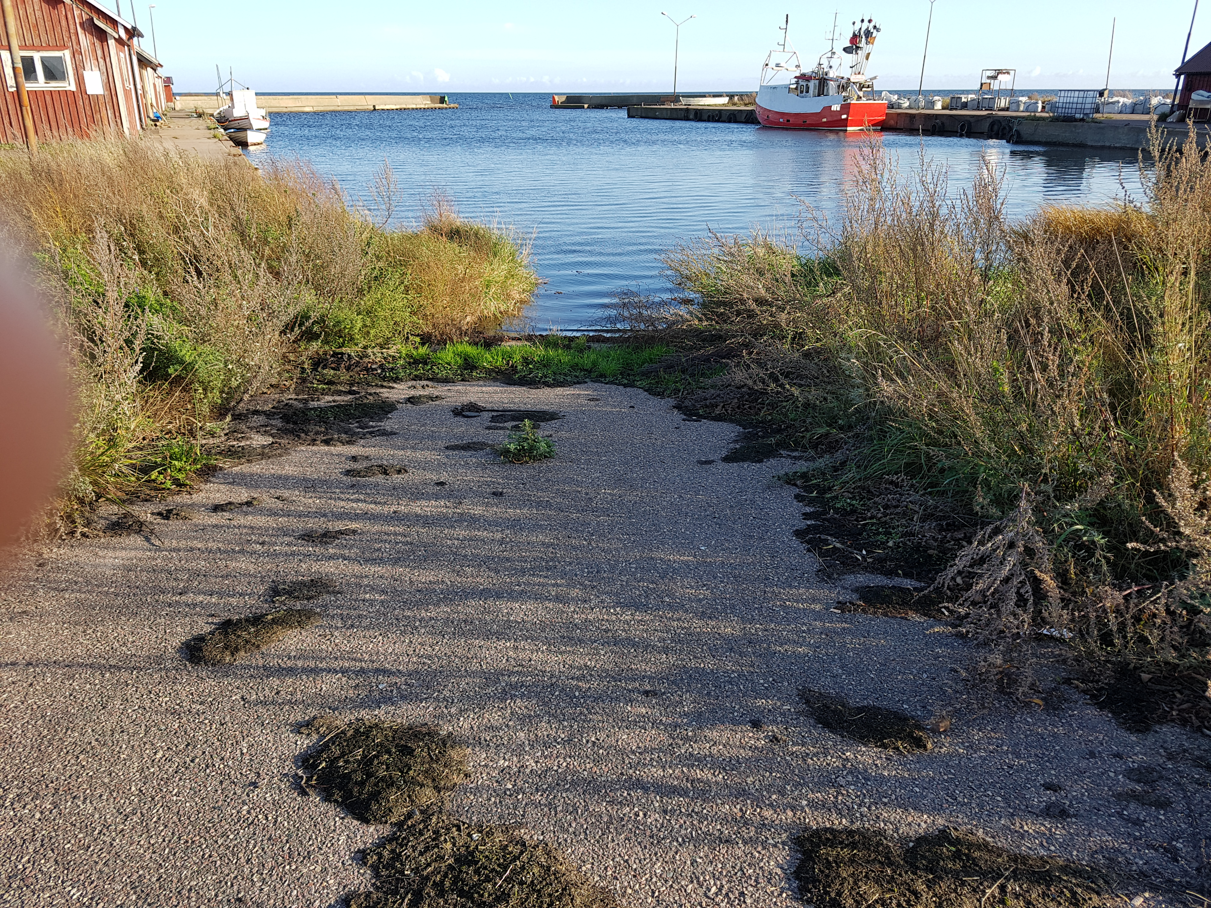 Foto av Gräsgårds hamn Östersjön