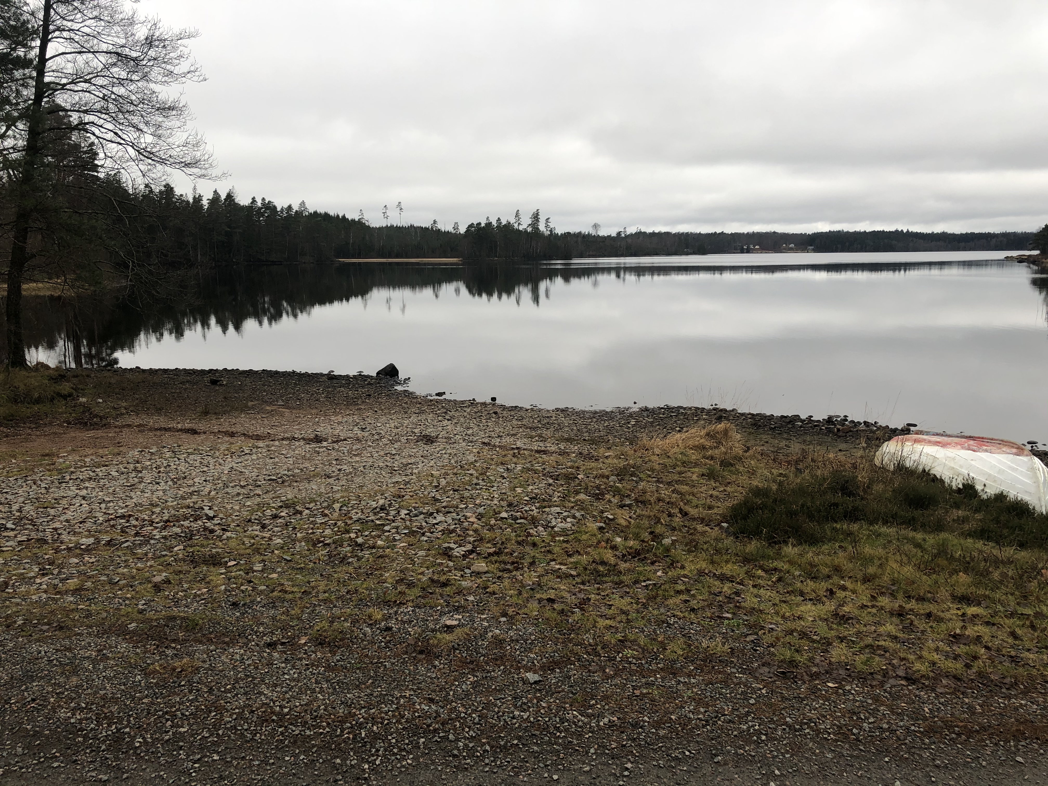 Foto av Mellan Färgen