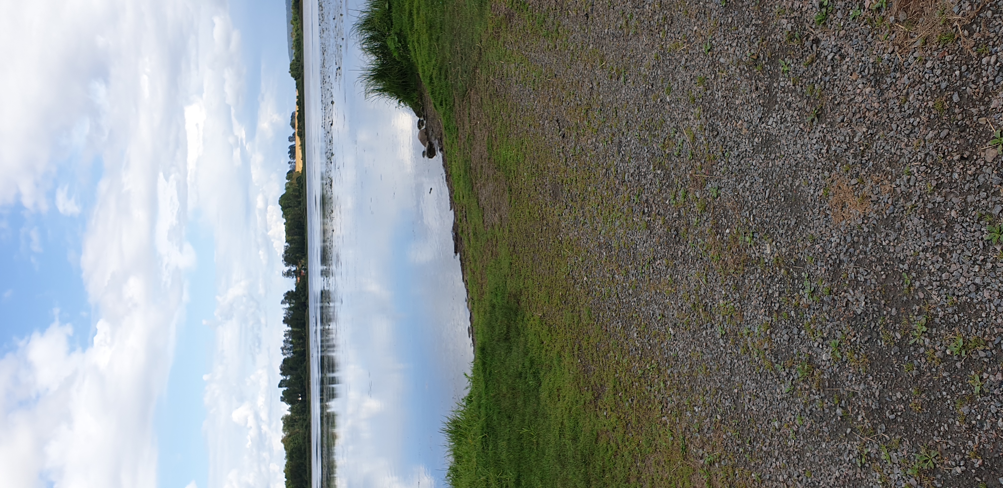 Foto av Sjötorpasjön Odensberg