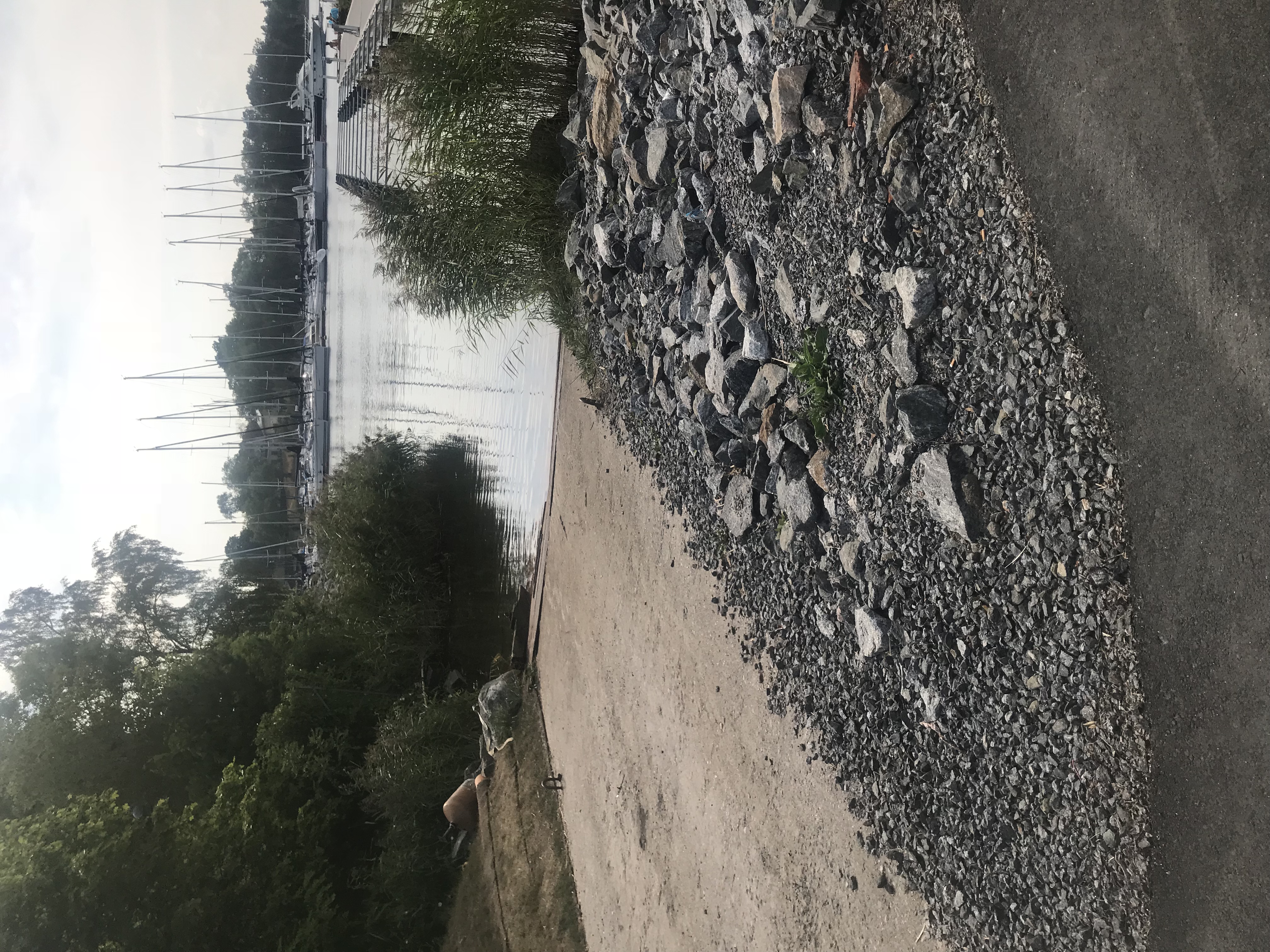 Foto av Gustavsbergs hamn