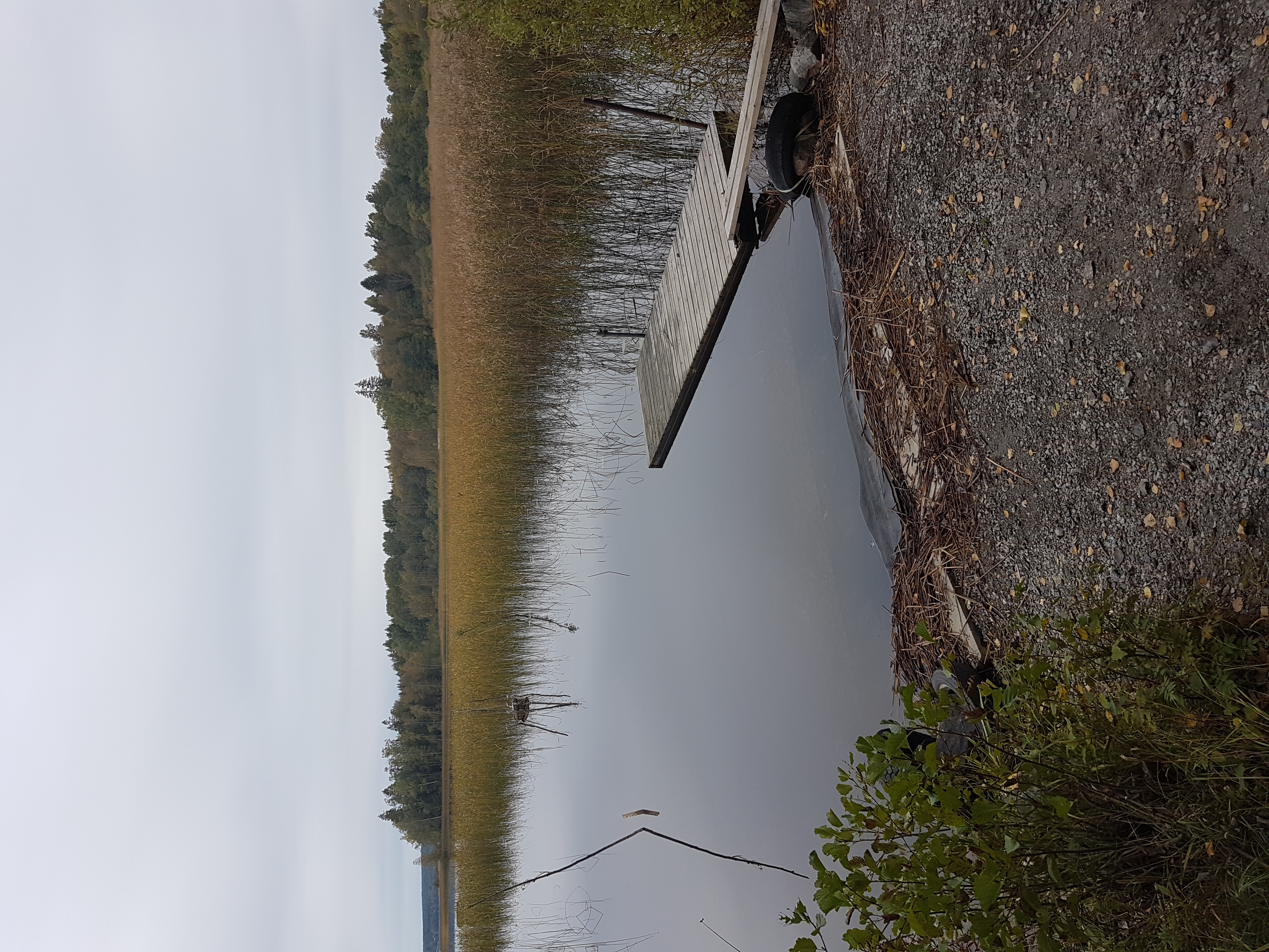 Foto av Hamrångefjärden